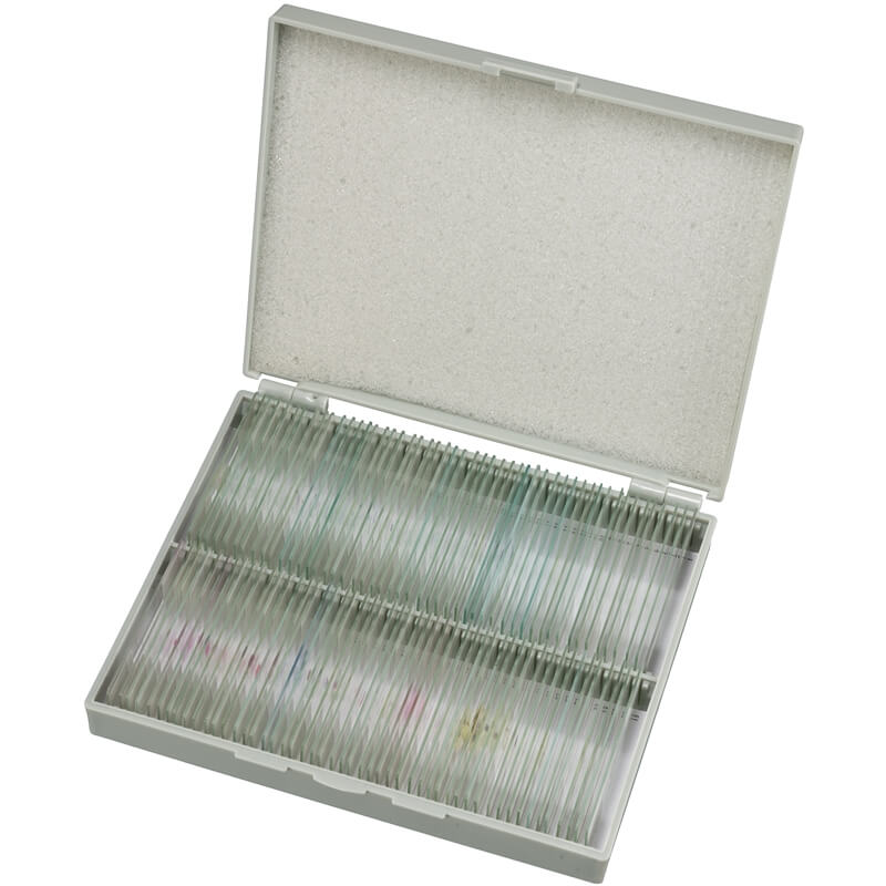 Mikroskopski preparati u drvenoj kutiji, 100 komada