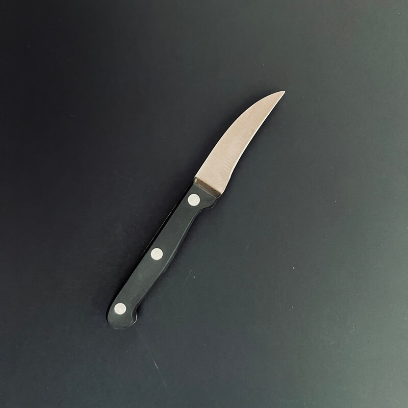 Nož za seciranje
