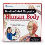 Ljudsko tijelo, magnetno