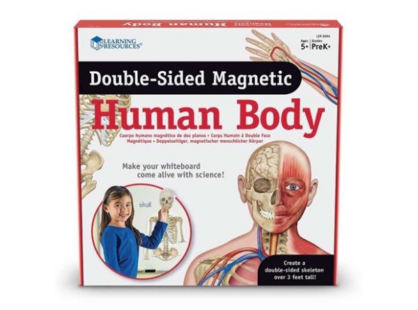 Ljudsko tijelo, magnetno