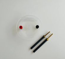 Elektrode s nosačem