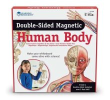 Ljudsko tijelo, magnetno