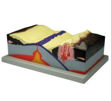 Model tektonske ploče