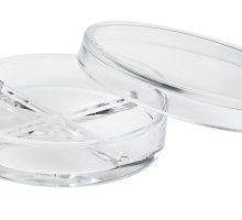 Petrijeva zdjelica, 4 odjeljka