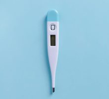 Toplomjer, digitalni