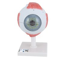 Model oka na postolju