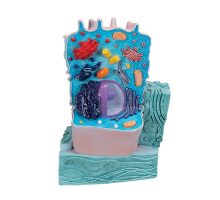 Reljefni model životinjske stanice u boji